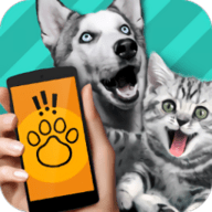 pettranslator宠物对话翻译app v1.1