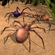 蜘蛛模拟生存无限金币版 v1.0
