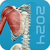 3D肌肉解剖 v1.0
