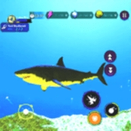 鲨鱼猎人模拟器(Shark Hunter Simulater) 1.2