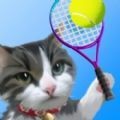 猫咪网球 1.0